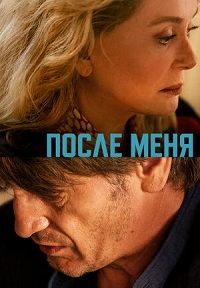 Постер к После меня